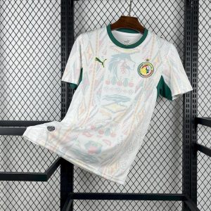 Senegal 2026 World Cup Home Jersey (Fan Version)