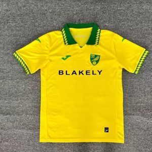 Norwich City 2025/26 Home Jersey (Fan Version)