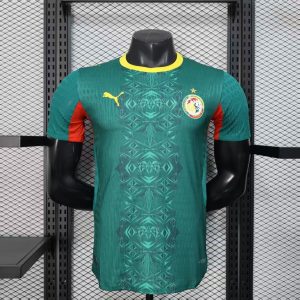Senegal 2026 World Cup Away Jersey (Player Version)