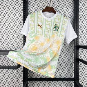 Ivory Coast 2026 World Cup Away Jersey (Fan Version)