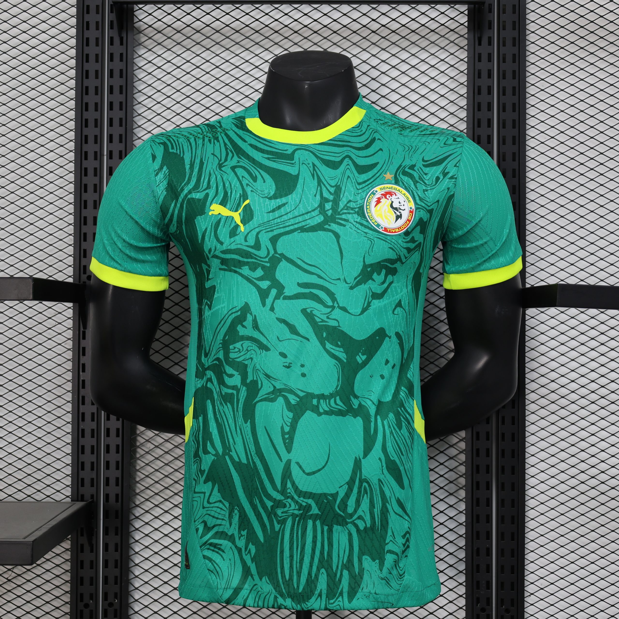 Senegal 2025 Away Jersey (Player Version)