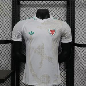 Wales 2026 World Cup Away Jersey (Player Version)