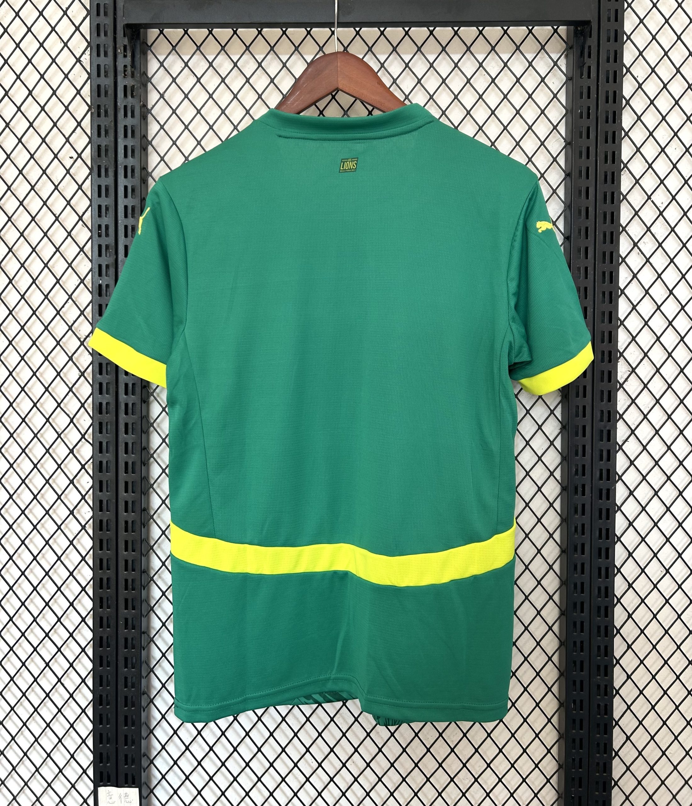 Senegal 2025 Away Jersey (Fan Version) - Image 2