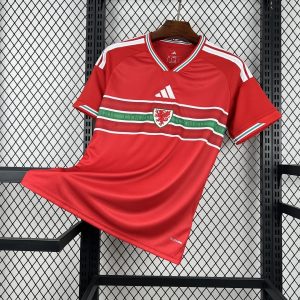 Wales 2026 World Cup Home Jersey (Fan Version)