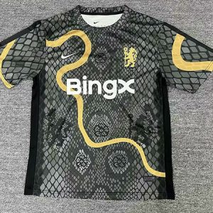 2025/26 Chelsea Snake Jersey Special Version