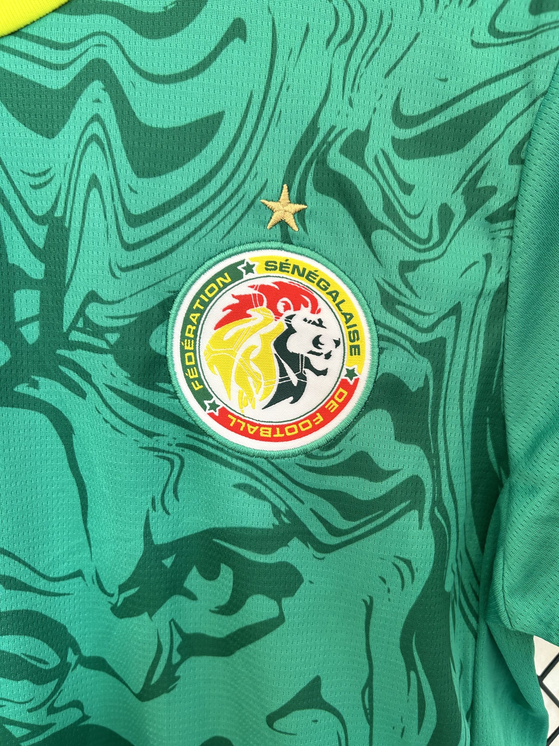 Senegal 2025 Away Jersey (Fan Version) - Image 5