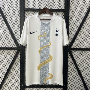 Tottenham Hotspur 2025/26 Special Edition Jersey (Fan Version)