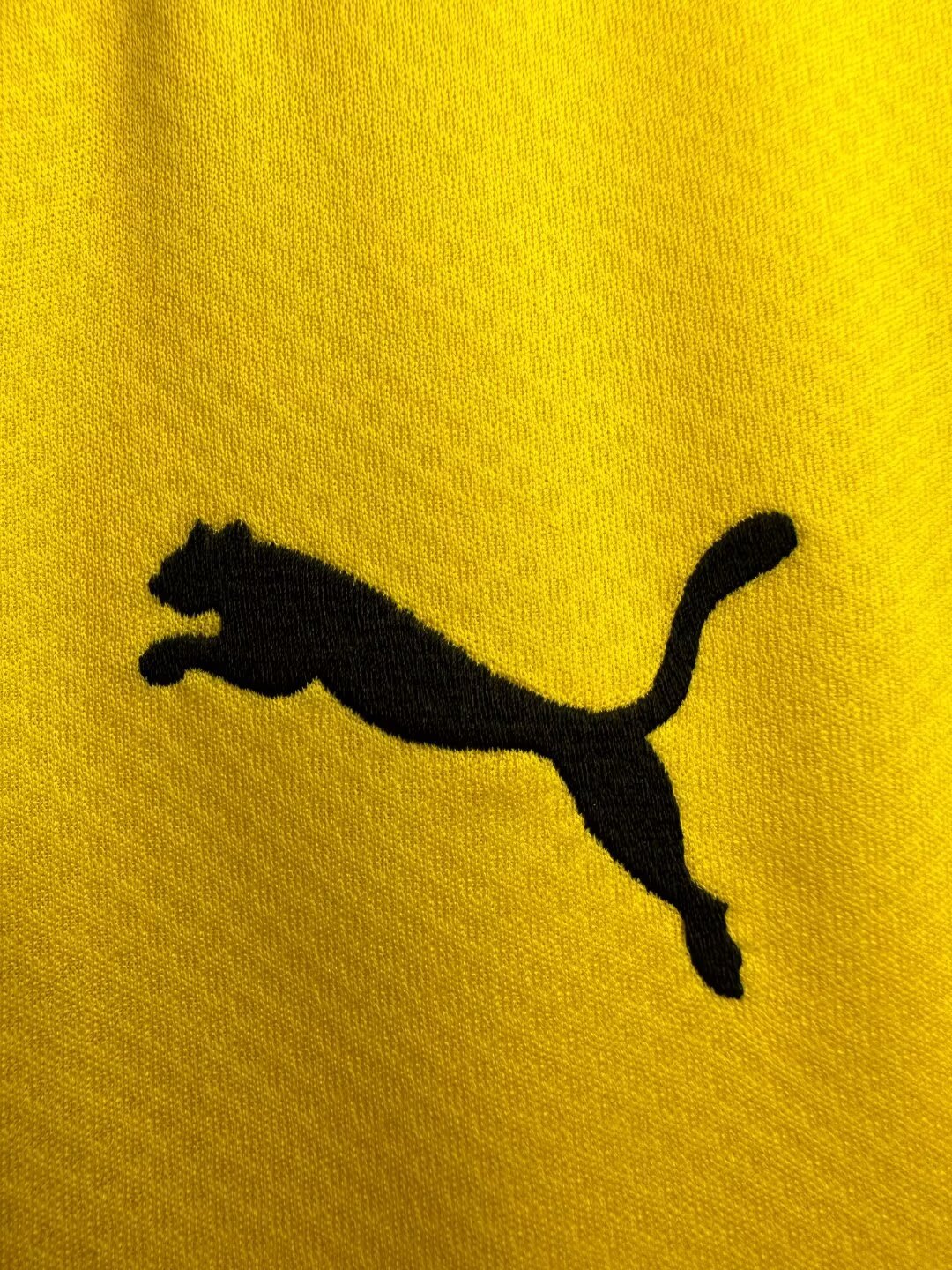 Borussia Dortmund 2019/20 Home Retro Jersey (Fan Version) - Image 3