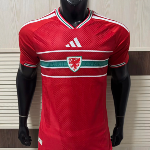 Wales 2026 World Cup Home Jersey (Player Version)