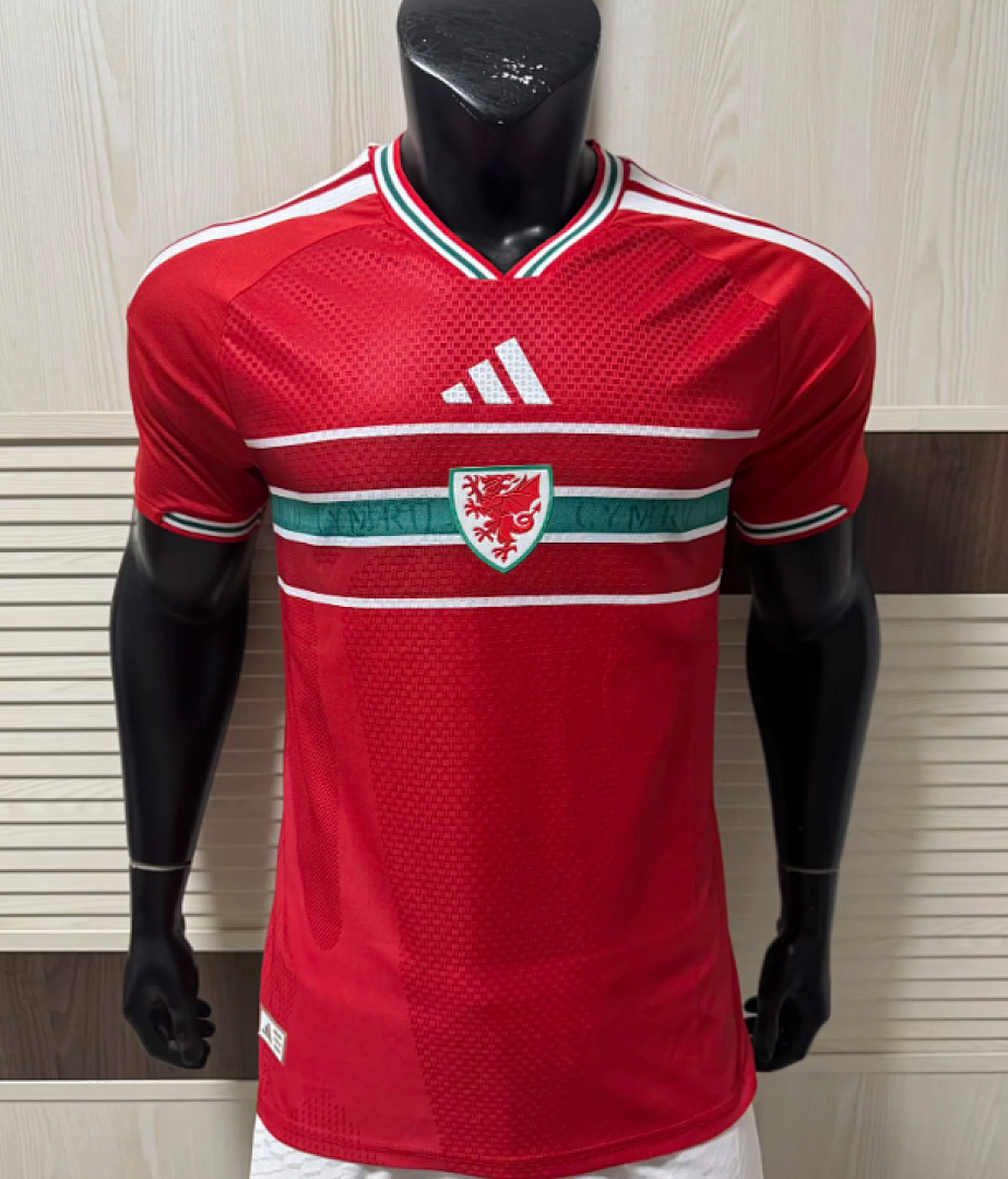 Wales 2026 World Cup Home Jersey (Player Version)