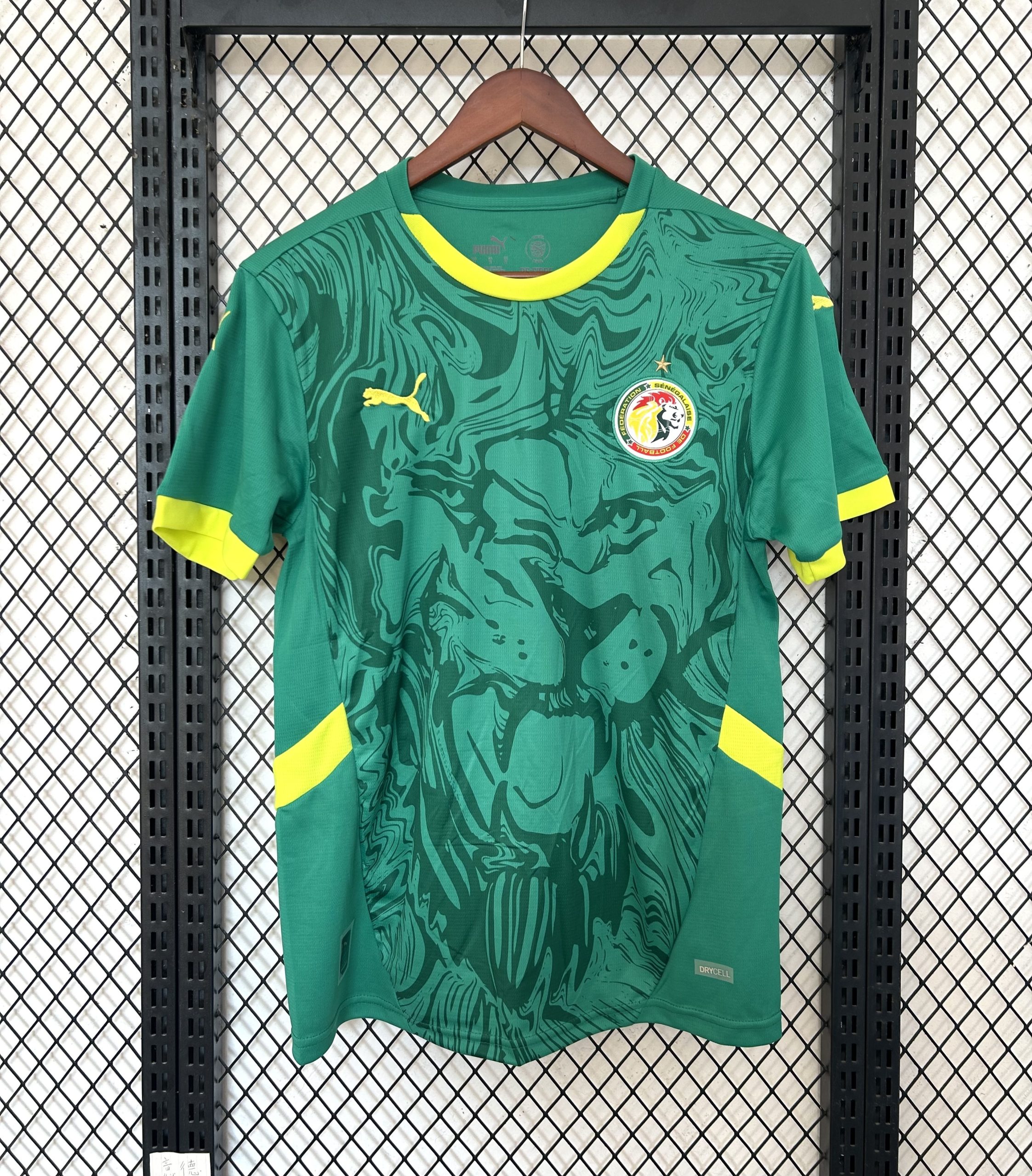 Senegal 2025 Away Jersey (Fan Version)