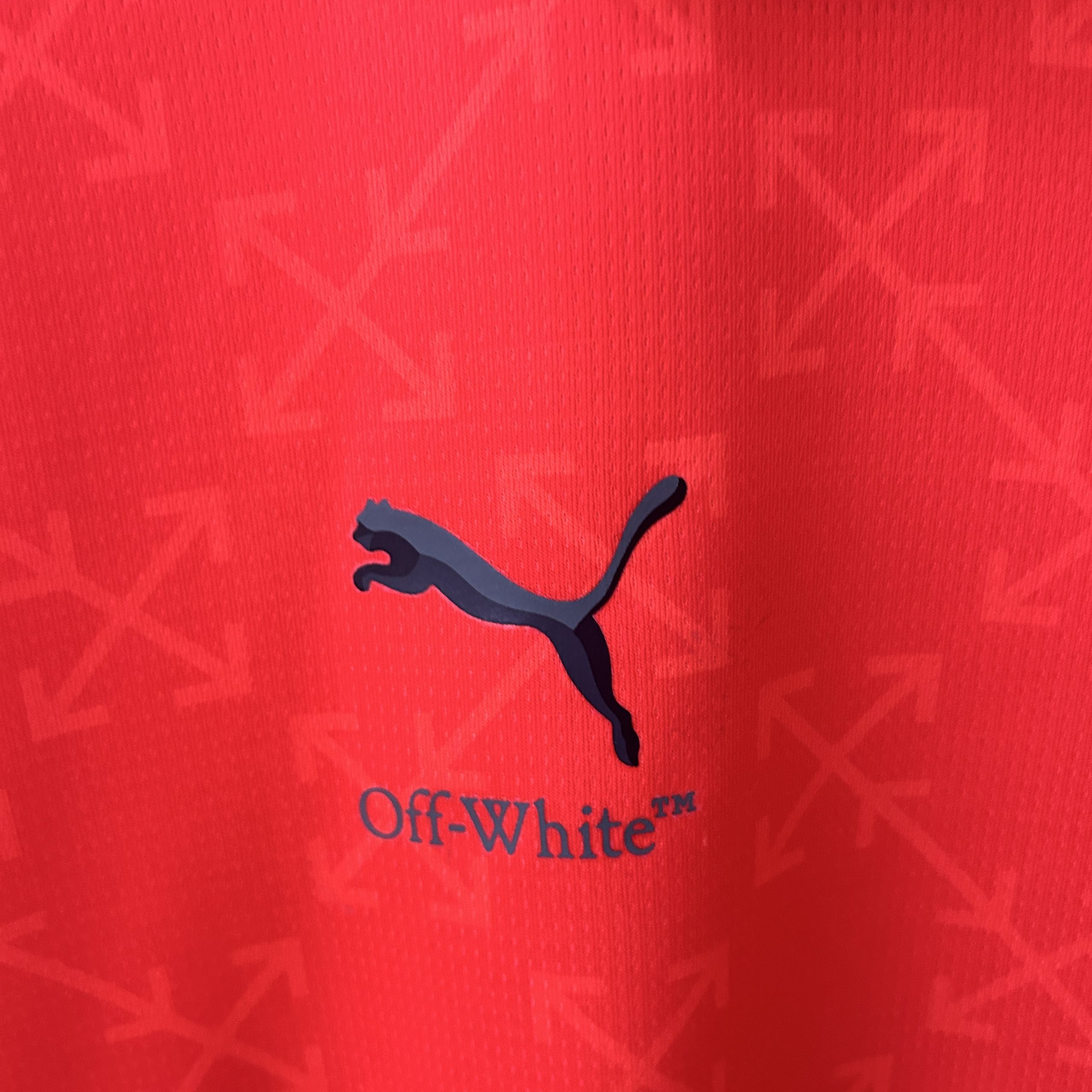 2025/26 AC Milan Red and Green Special Jersey Fan Version - Image 2