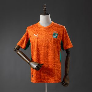 Ivory Coast 2026 World Cup Home Jersey (Fan Version)